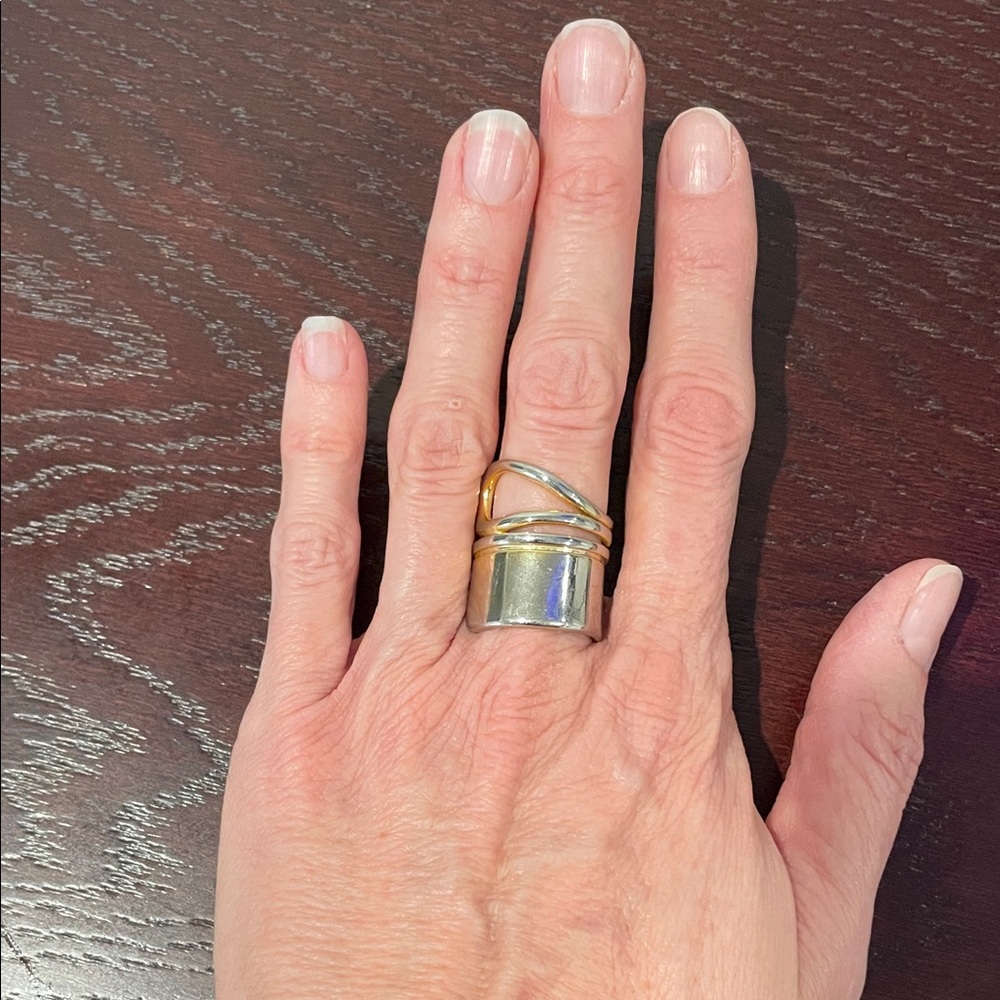 Elegant Silver and Gold Women's Ring